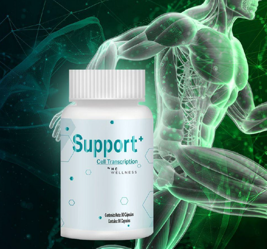 Support+ Cell Transcription | Inmunidad y Salud Celular Avanzada